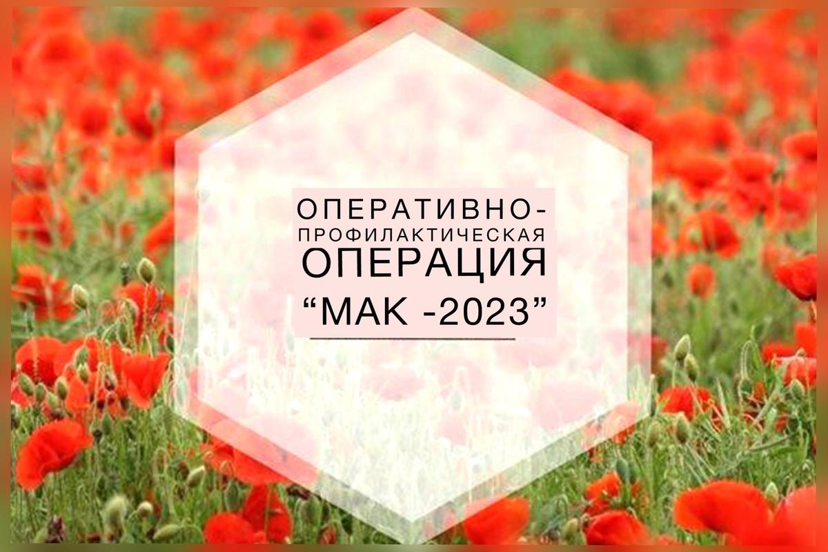 Мак- 2023.