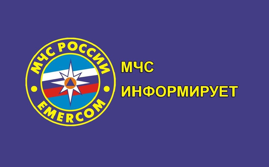 Чтобы прогулка в лесную зону за ягодами или грибами принесла только положительные эмоции, Главное управление МЧС России по Алтайскому краю настоятельно рекомендует знать и соблюдать элементарные правила безопасного поведения в лесных массивах..