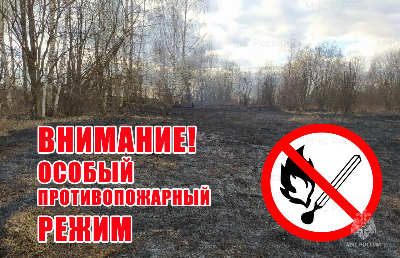 С 27 апреля 2024 года  на территории Алтайского края введен особый противопожарный режим..