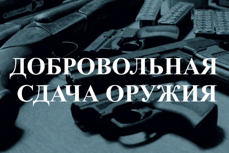 Управление Росгвардии по Алтайскому краю информирует. Управление Росгвардии по Алтайскому краю информирует.